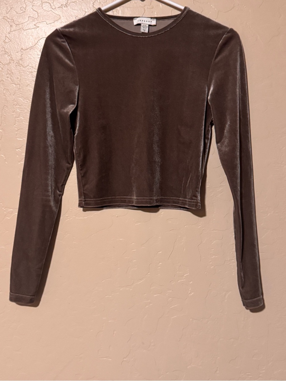Topshop Brown Velvet Long-Sleeve Crop Top